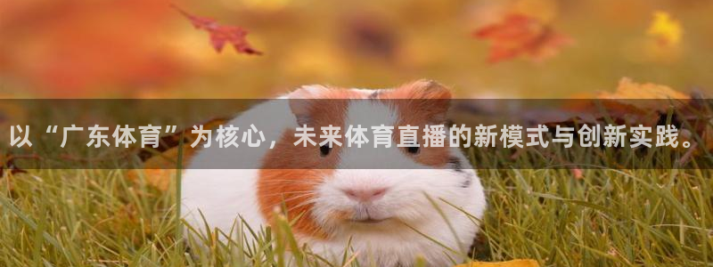 857足球直播间：以“广东体育”为核心，未来体育直播的新模式与创新实践。
