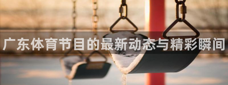 857直播足球直播吧：广东体育节目的最新动态与精彩瞬间