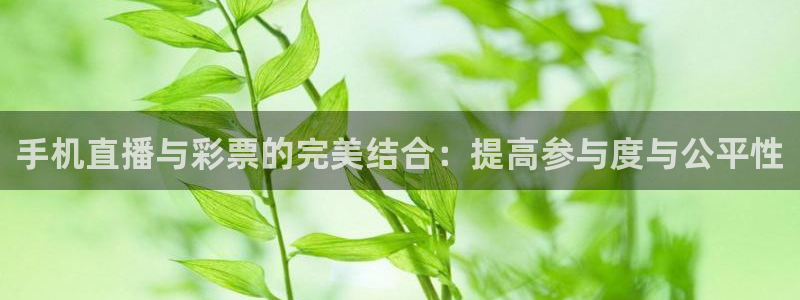 857免费直播nba：手机直播与彩票的完美结合：提高参与度与公平性