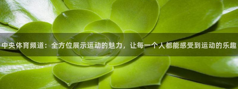 857nba直播：中央体育频道：全方位展示运动的魅力，让每一个人都能感受到运动的乐趣