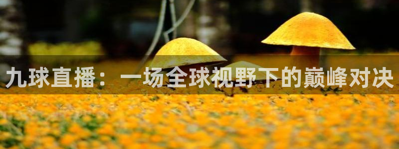 857足球赛事直播