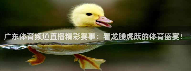 857直播体育在线直播