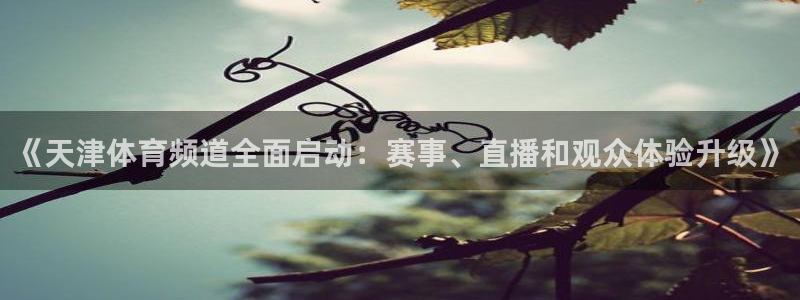 857直播体育app
