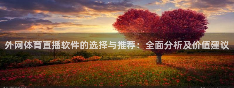 857免费直播体育nba：外网体育直播软件的选择与推荐：全面分析及价值建议