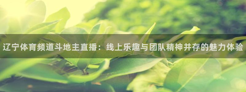 857足球直播：辽宁体育频道斗地主直播：线上乐趣与团队精神并存的魅力体验