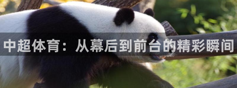 857看球直播平台：中超体育：从幕后到前台的精彩瞬间